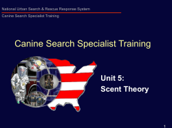 THEORY OF SCENT and SCENT TRANSPORT