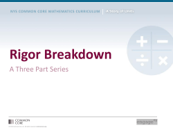 Rigor Breakdown - Conceptual Understanding