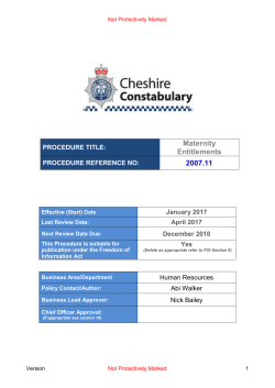Maternity Entitlements Policy