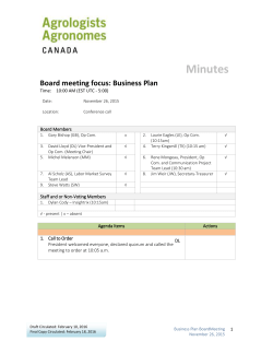 Minutes Board meeting focus: Business Plan