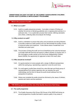 UNDERTAKING AN AUDIT AS PART OF THE SURREY