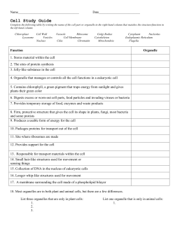 Cell Study Guide