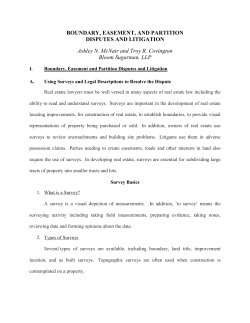 Boundary, Easement and Partition Dispute and