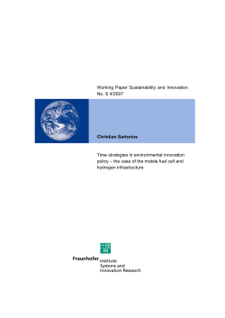 Time strategies in environmental innovation policy