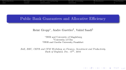 Public Bank Guarantees and Allocative Efficiency
