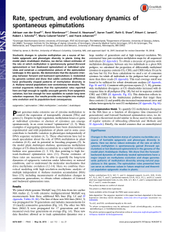 Rate, spectrum, and evolutionary dynamics of - Eriba