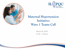 Maternal Hypertension Initiative: Wave 1 Teams Call Overview