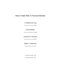Noise Trader Risk in Financial Markets