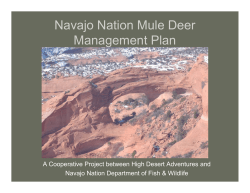 Navajo Nation Mule Deer Management Plan (pdf*)