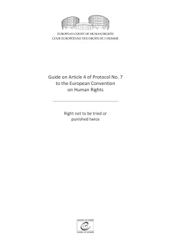 Guide on Article 4 of Protocol No. 7