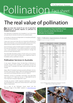 The real value of pollination - Australian Honey Bee Industry Council