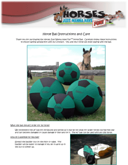 Horse Ball Instructions and Care