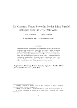 Do Currency Unions Solve the Border Effect Puzzle?