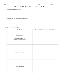 Fish Notes Organizer