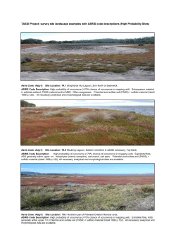 TASSI Project: survey site landscape examples with ASRIS code
