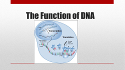 The Function of DNA - sci9sage-wmci
