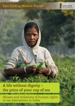 A life without dignity &ndash; the price of your cup of tea
