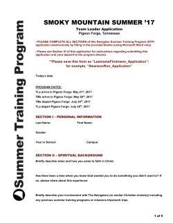 team leader application