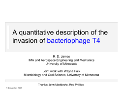 A mathematical description of the invasion of