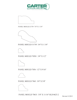 PANEL MOULD 31759 3/4`` X 1 3/4`` PANEL
