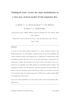 Multigrid state vector for data assimilation in a two-way