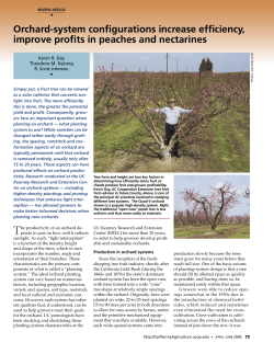 Orchard-system configurations increase efficiency, improve profits in