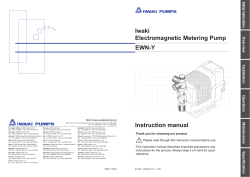 Iwaki Electromagnetic Metering Pump EWN-Y Instruction
