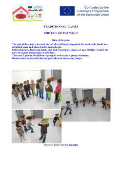 Traditional game FR3