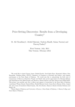 Price-Setting Discoveries: Results from a Developing Country