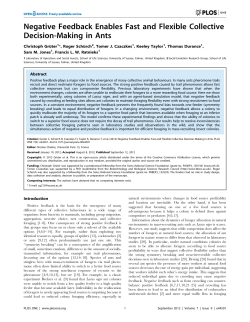 Negative Feedback Enables Fast and Flexible Collective Decision