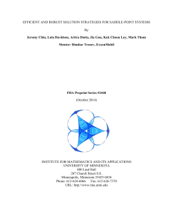 EFFICIENT AND ROBUST SOLUTION STRATEGIES FOR SADDLE