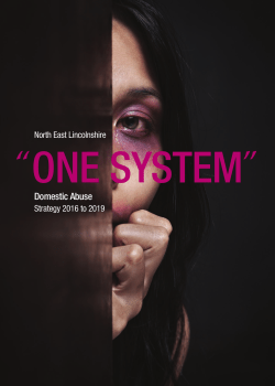 Domestic Abuse Strategy