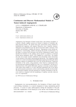 Continuous and Discrete Mathematical Models of Tumor
