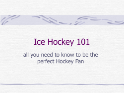 Ice Hockey 101
