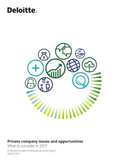 Private company issues and opportunities: What to consider in 2017