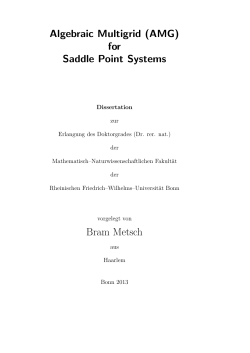 Algebraic Multigrid (AMG) for Saddle Point - INS