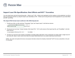 Import Loan File Specification: Best Efforts and SET