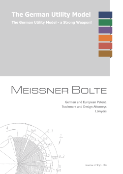 The German Utility Model