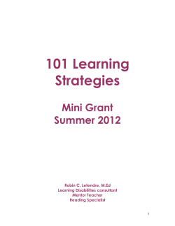 101 Learning Strategies mini grant
