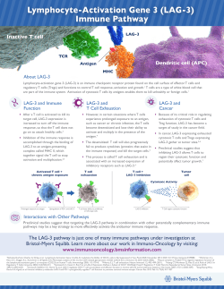Lymphocyte-Activation Gene 3 (LAG