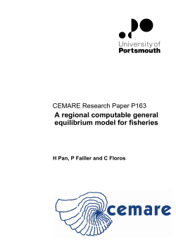 A regional computable general equilibrium model for fisheries