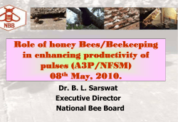 National Bee Board (Executive Director ).
