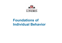 Foundations of Individual Behavior