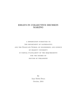 essays in collective decision making
