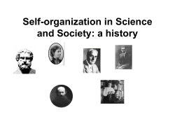 selforg history