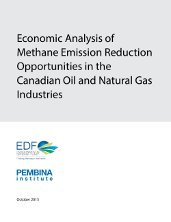 Economic Analysis of Methane Emission