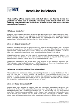 Head Lice in Schools - Brockley Primary School