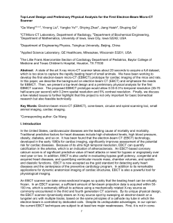 Top-Level Design and Preliminary Physical Analysis for the First