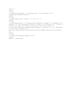 Summer Sports Information Sheet