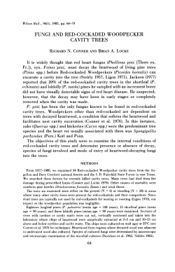 FUNGI AND RED-COCKADED WOODPECKER CAVITY TREES
